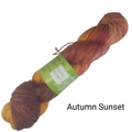 Gala Fingering Yarn – Pretty Pretty Yarn Club